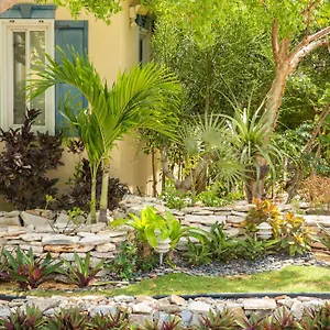 Kokomo Botanical - Caribbean Family Turtle Cove
